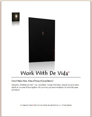 Area of Focus Consultation  (1.5 hour)